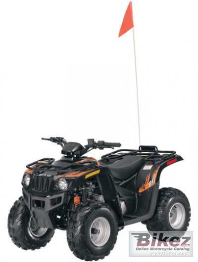 2011 Arctic Cat 90 photo